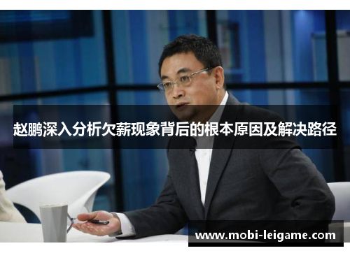 赵鹏深入分析欠薪现象背后的根本原因及解决路径