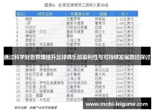 通过科学财务管理提升足球俱乐部盈利性与可持续发展路径探讨
